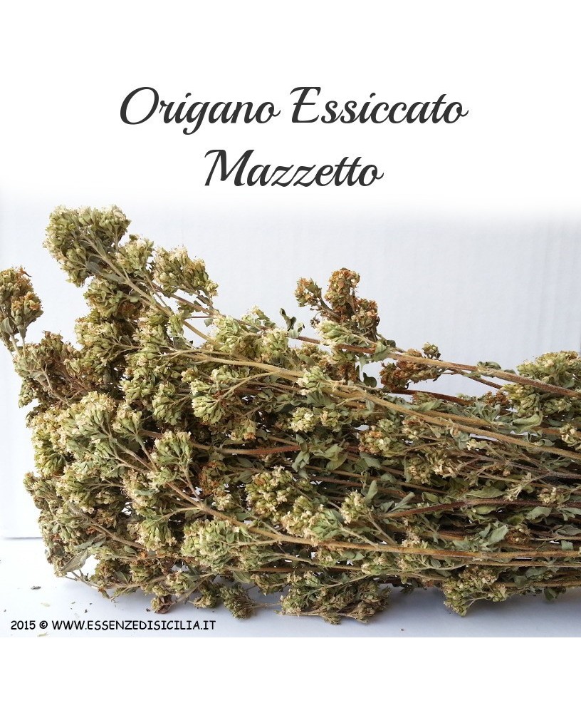 Origano Siciliano a mazzetto